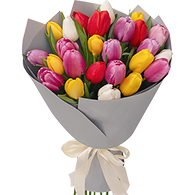 Bouquet of Tulips (Big)