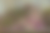 Ekaterina from New Jersey (41 y.o., Green Eyes, Blonde Hair, Single) - photo 9