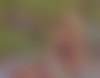 Kallitropia from Serres (34 y.o., Green Eyes, Blonde Hair, Never been married) - photo 3